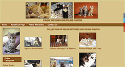 Desktop Screenshot of felinepictures.com