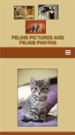 Mobile Screenshot of felinepictures.com