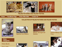Tablet Screenshot of felinepictures.com